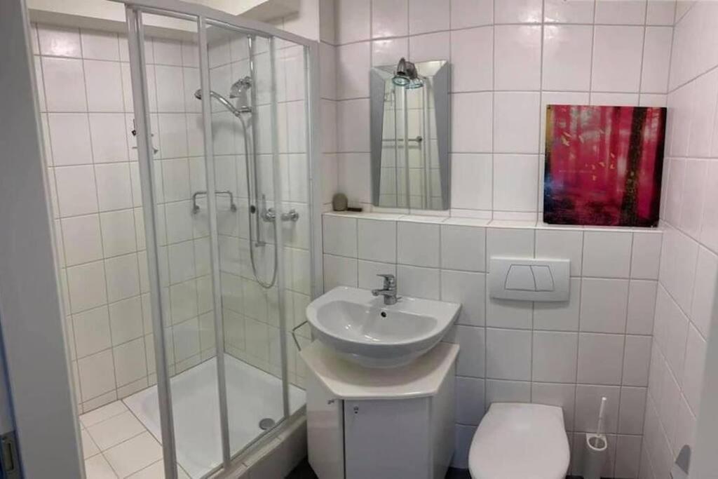 Basel - 5 Mins Away - Modern Basement Studio With Kitchen 35M2 In Muttenz Kültér fotó