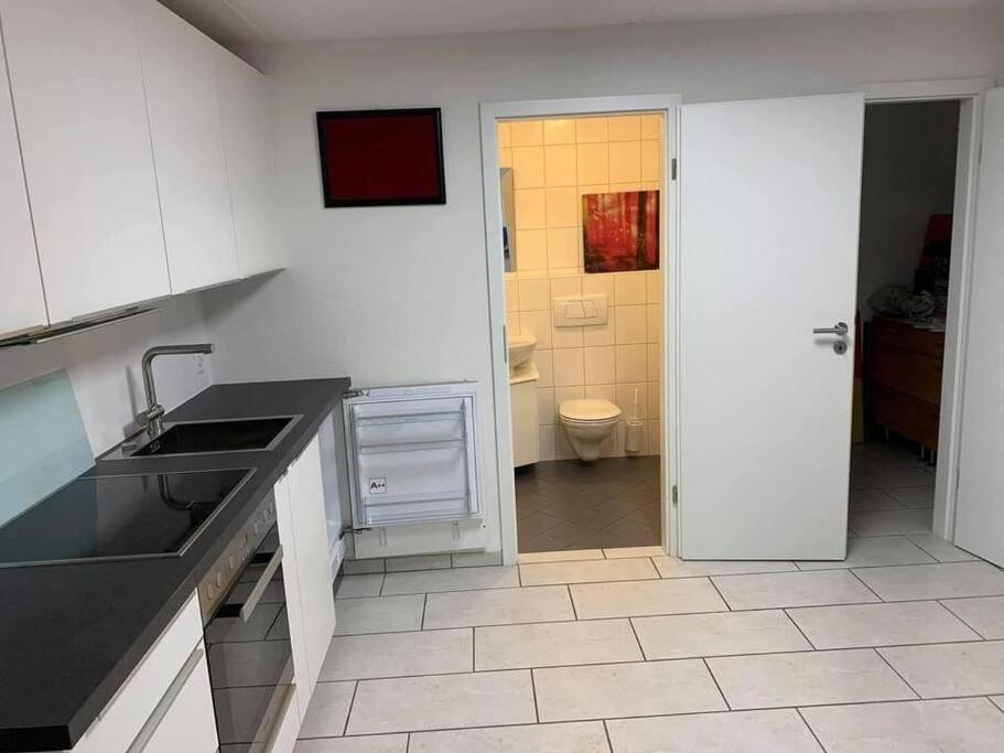 Basel - 5 Mins Away - Modern Basement Studio With Kitchen 35M2 In Muttenz Kültér fotó